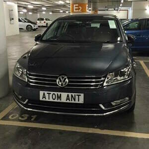 ATOM ANT